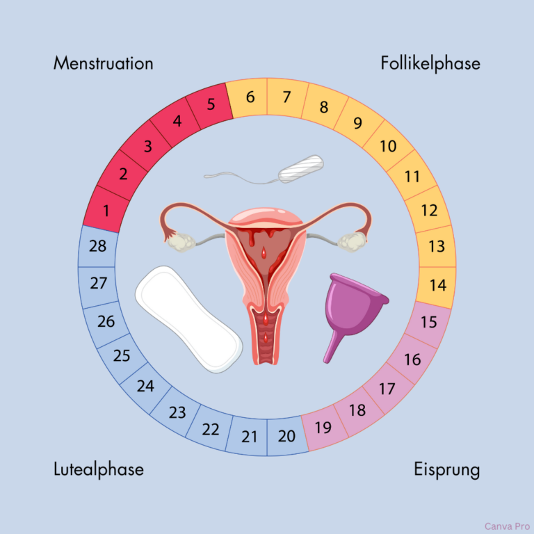 natuerlicher zyklus frau