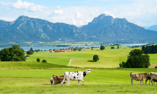 landschaft im landkreis muenchen