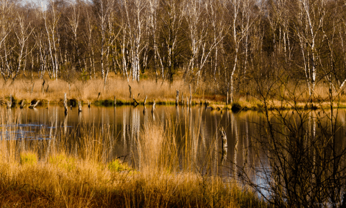 herbst in norderstedt