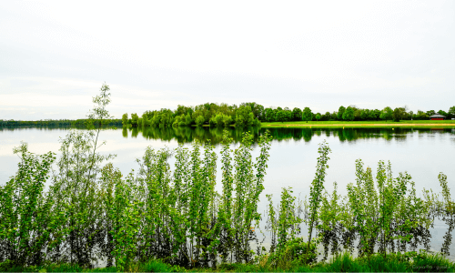 auesee bei wesel